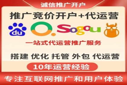 案例解读：SEO与SEM优化助力电商崛起